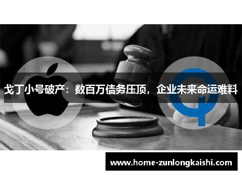 戈丁小号破产：数百万债务压顶，企业未来命运难料